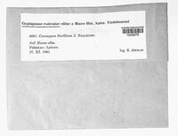 Image Associated With the Occurence